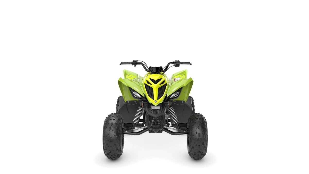  Yamaha / Raptor 110 Stock No. 20169
